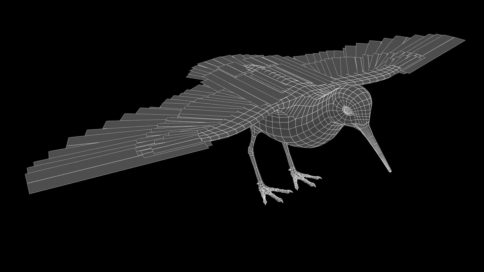 Redshank sandpiper Low-poly 3D model_12