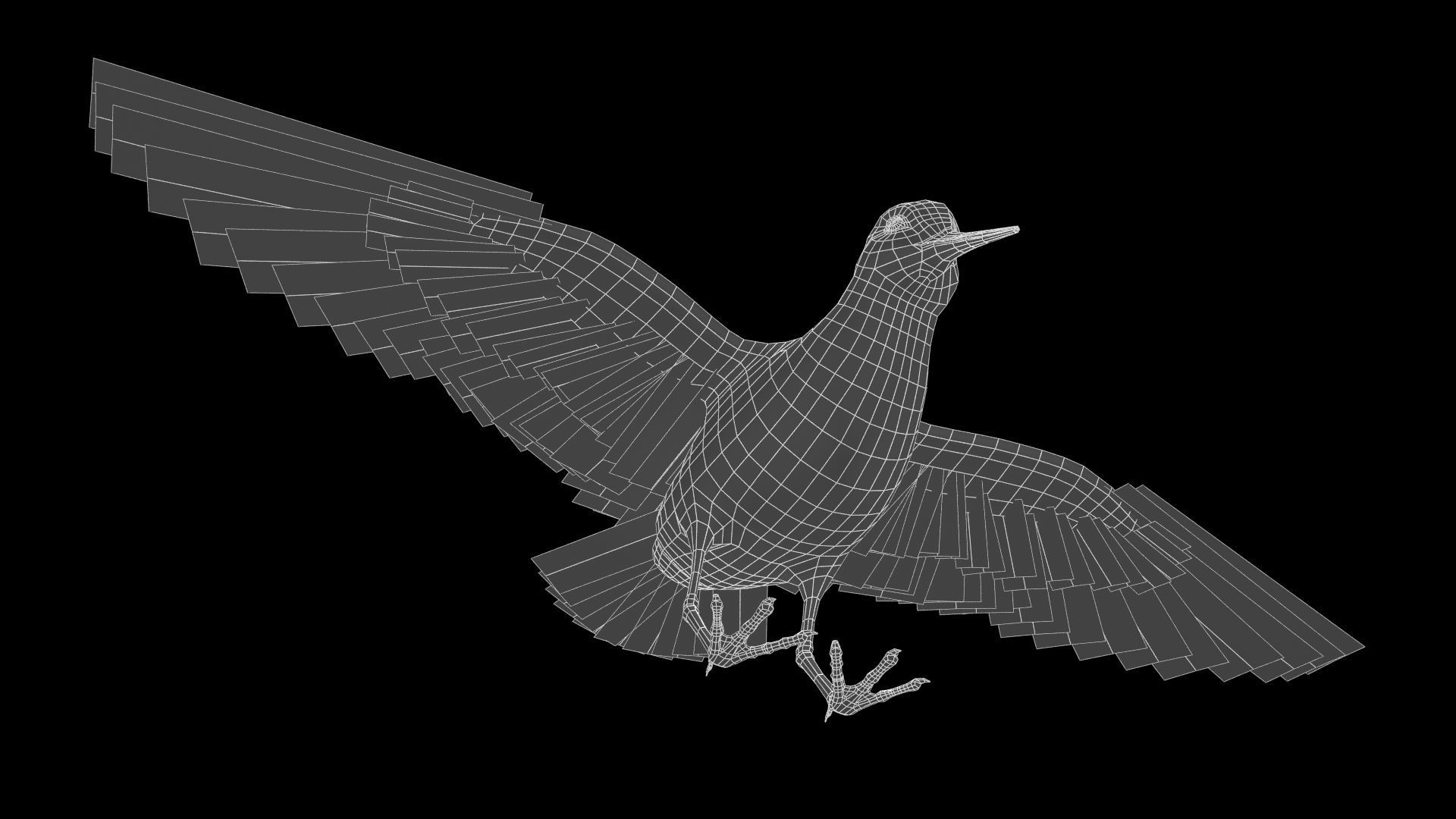 Redshank sandpiper Low-poly 3D model_13