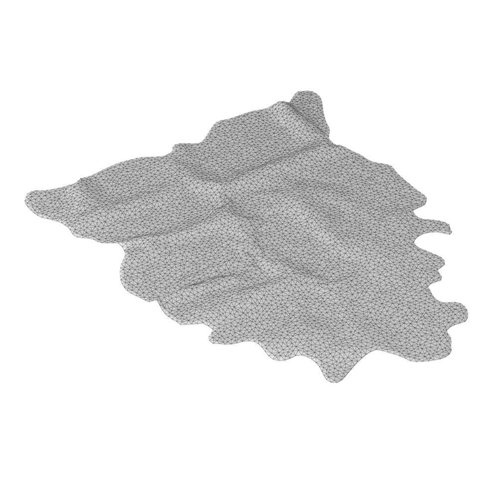 Black And White Skin Cow Rug 3D model_5