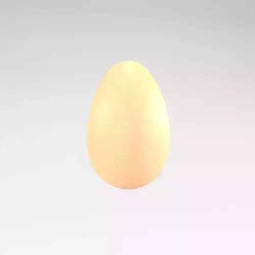 Egg v1 001