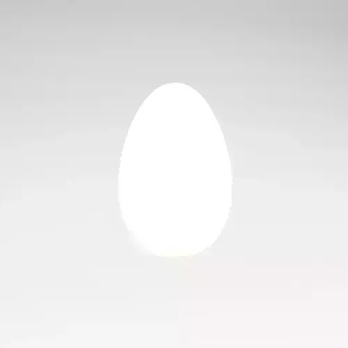 Egg v1 004