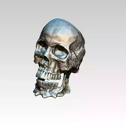 Cool Man Skull Ring 