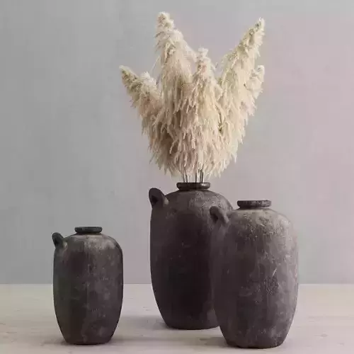 Pampas grass and vases rh 19th spanish water vessel 3D model