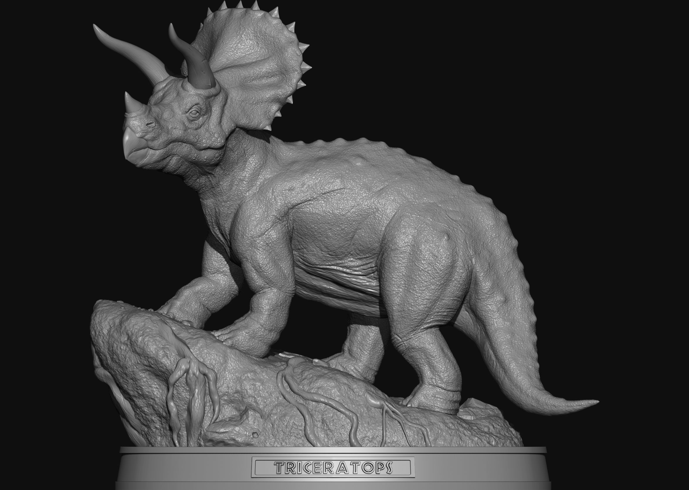 Triceratops 3D print model 3D print model_2