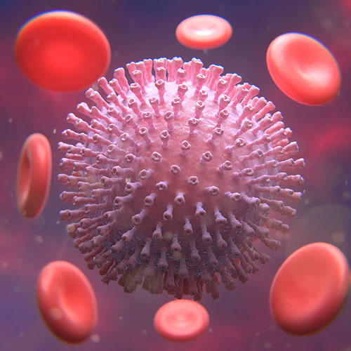Corona Virus and eritrocite 3D model Low-poly 3D model