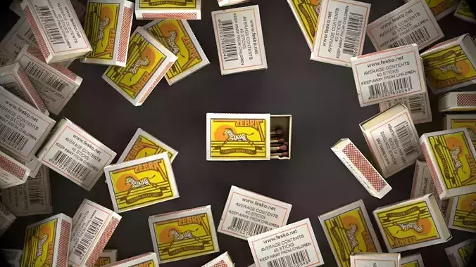 Matches zebra eastern europe