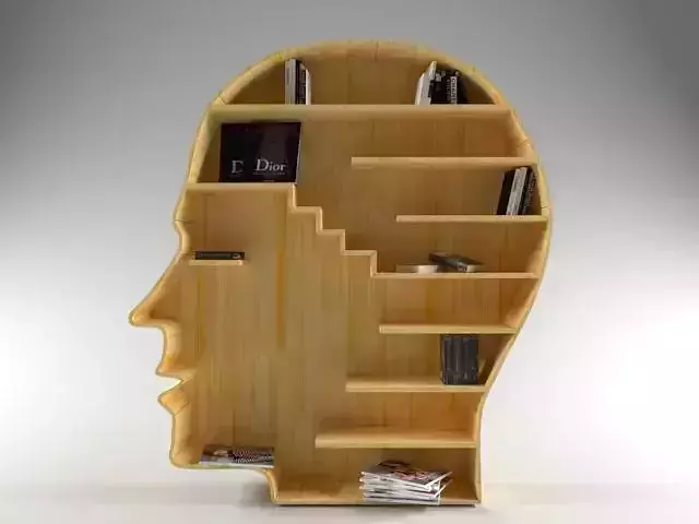 Head book shelf
