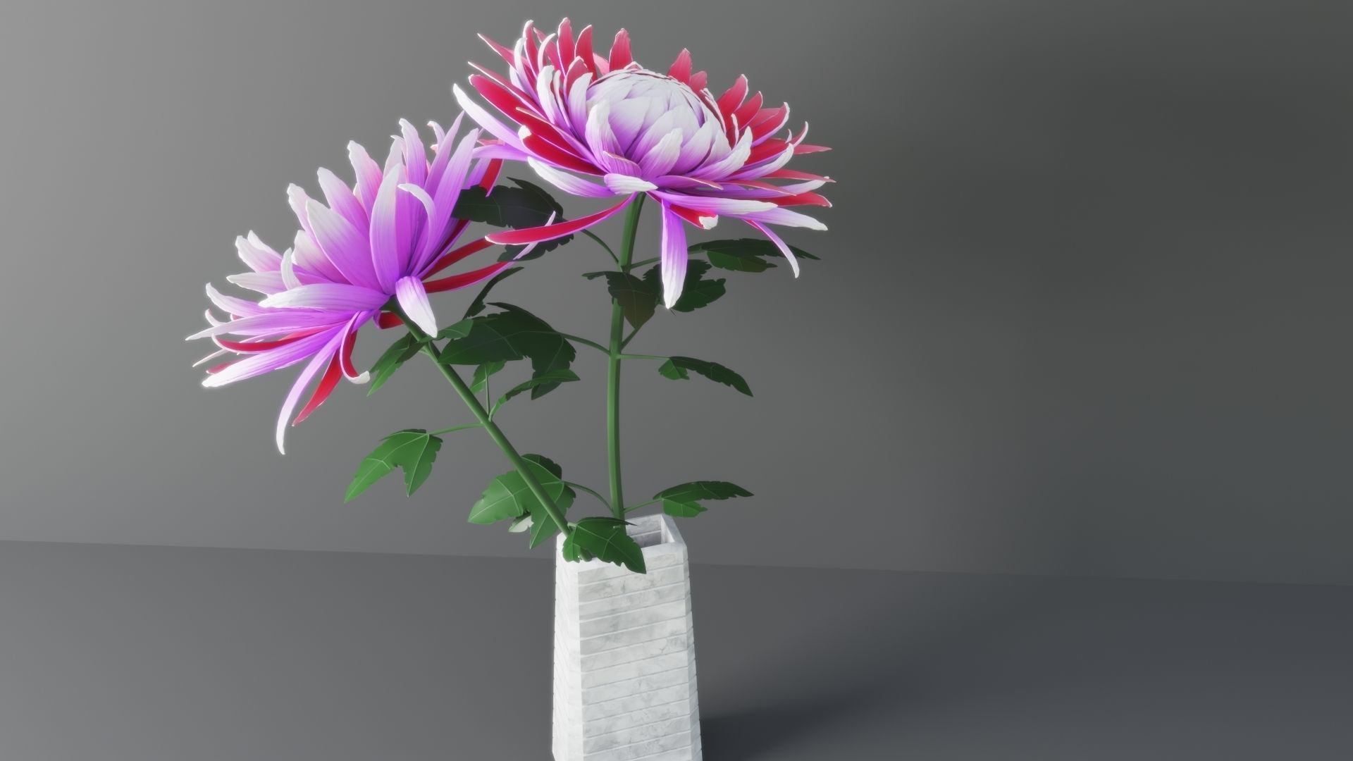 Chrysanthemum Flower 3D model_2