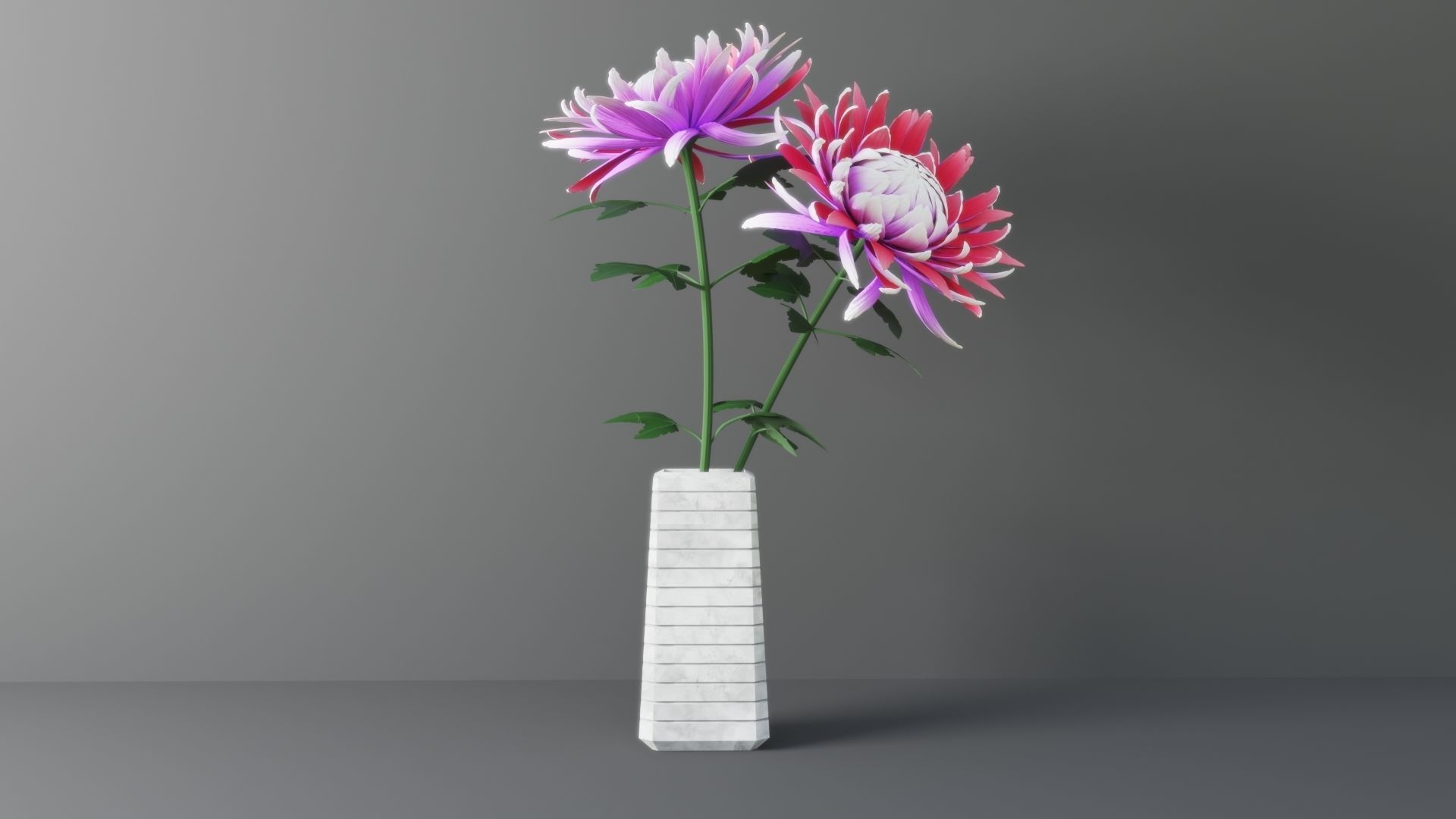 Chrysanthemum Flower 3D model_3