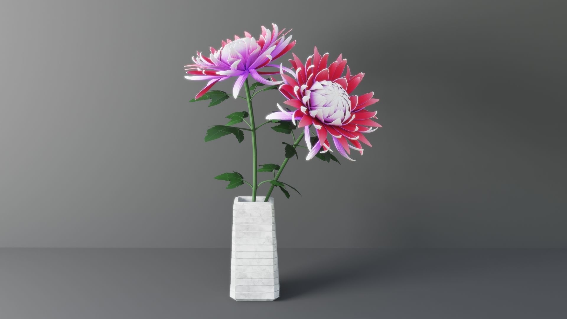Chrysanthemum Flower 3D model_1