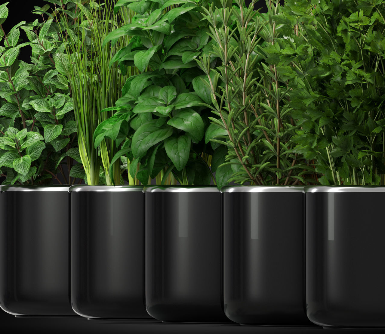 Plants collection 261 3D model_1