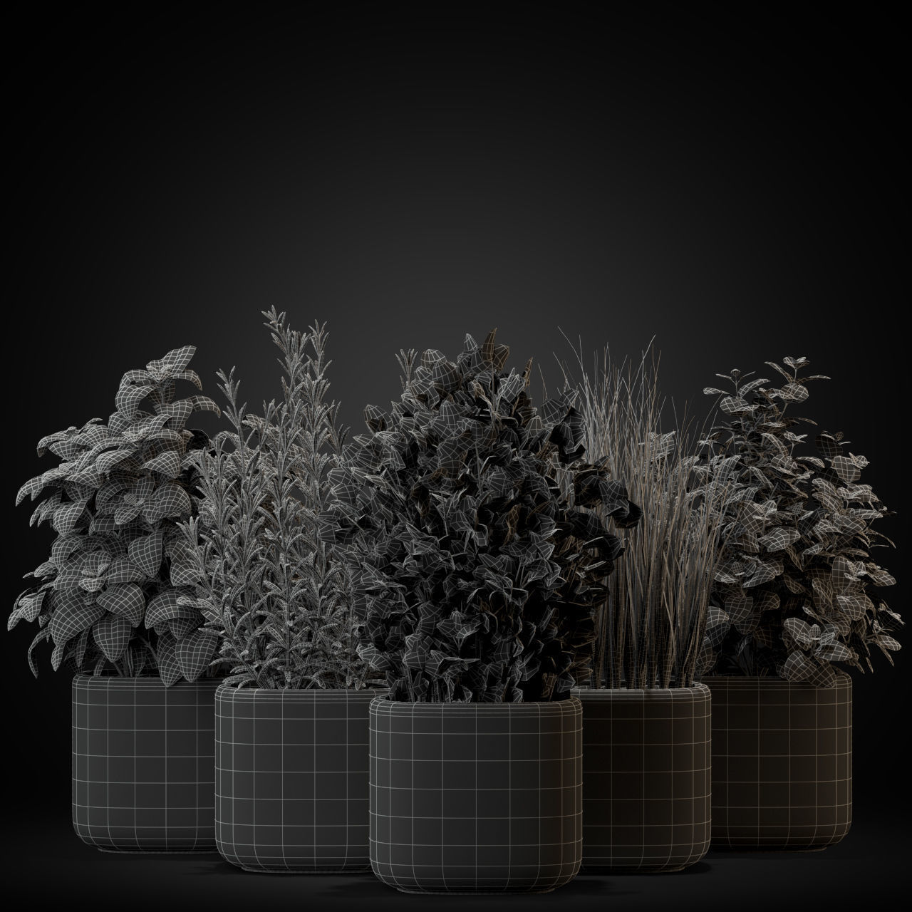 Plants collection 261 3D model_3
