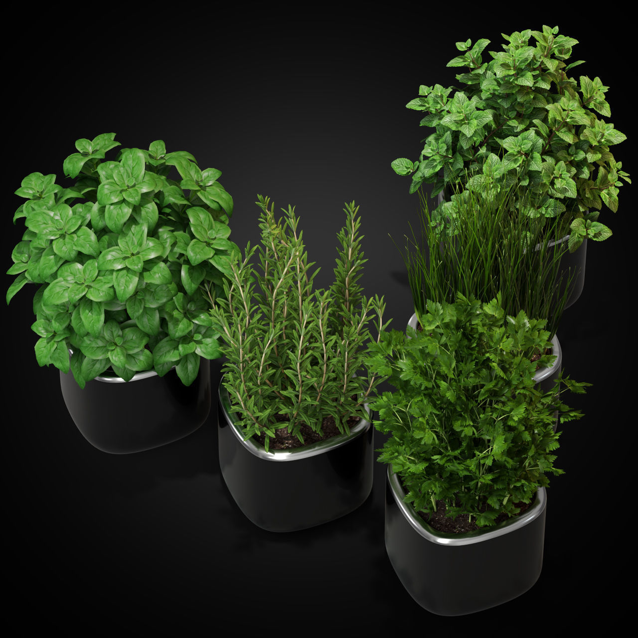 Plants collection 261 3D model_2