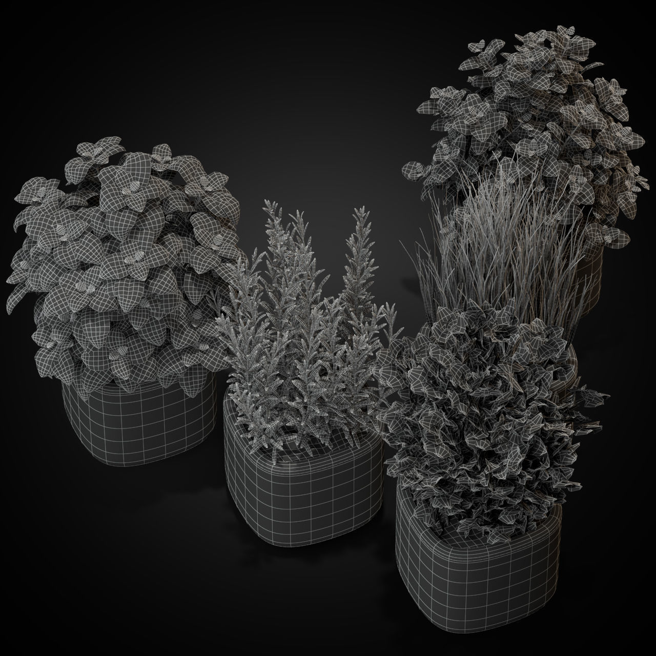 Plants collection 261 3D model_4