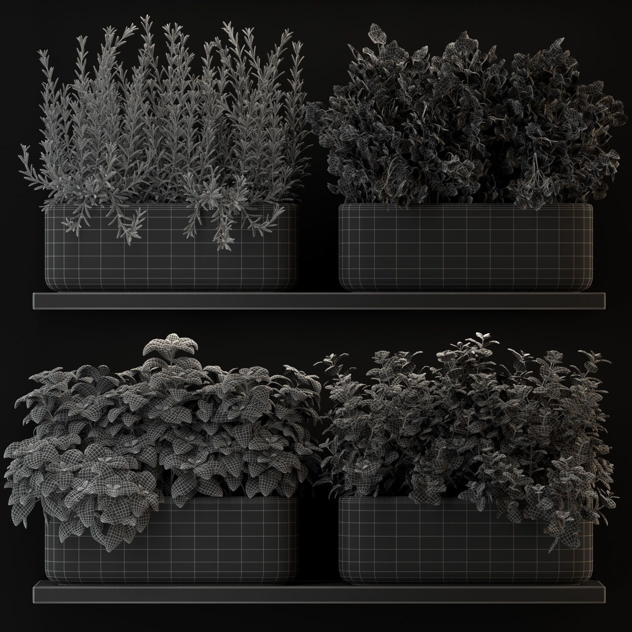 Plants collection 262 3D model_1