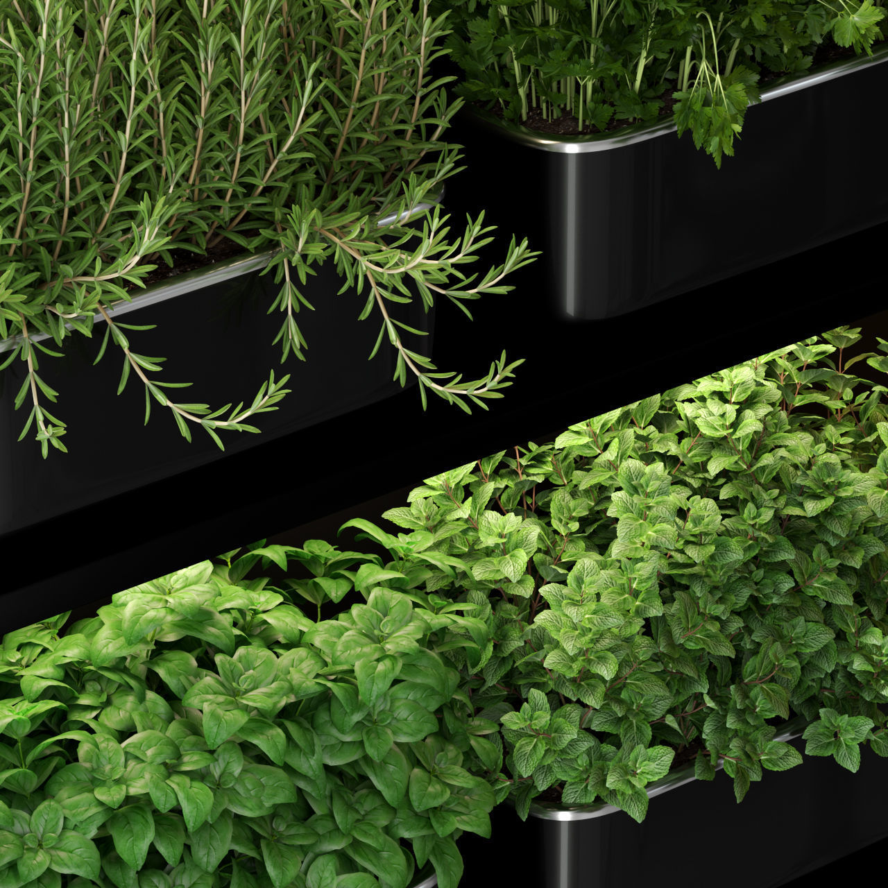 Plants collection 262 3D model_2