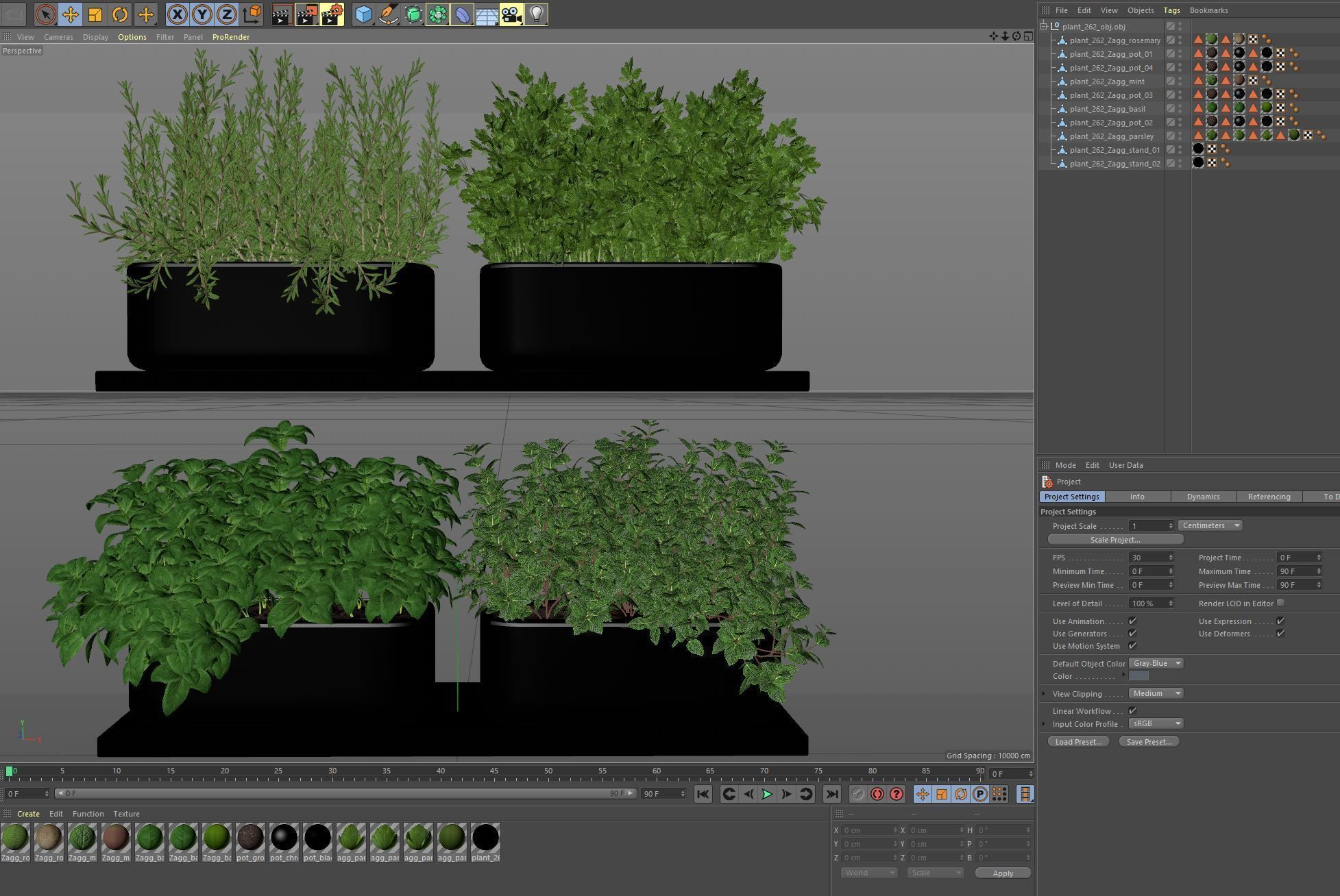 Plants collection 262 3D model_4