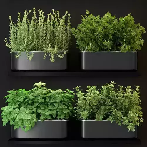 Plants collection 262 3D model