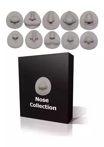 CARTOON NOSES 3D model