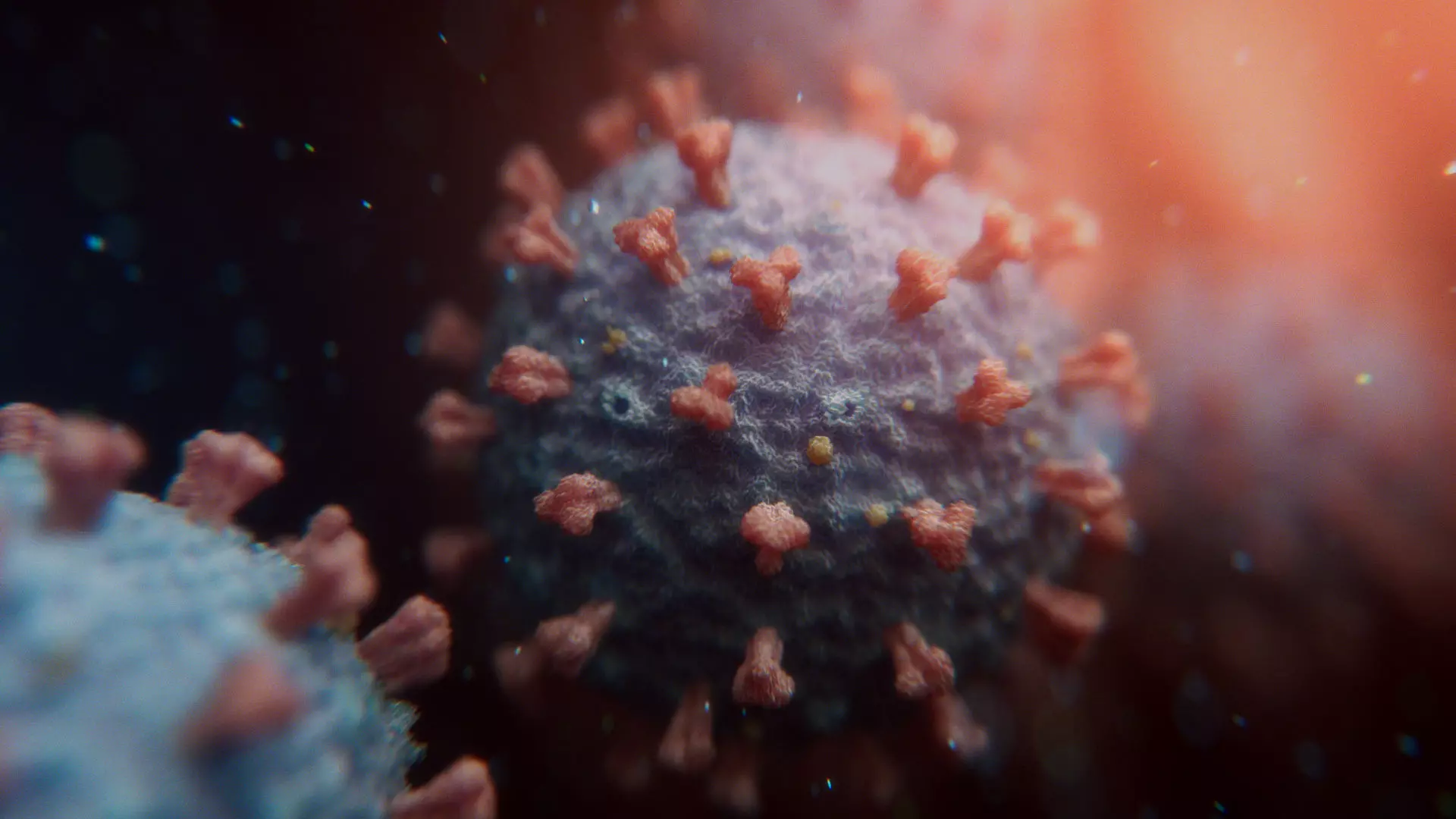 Novel Coronavirus COVID-19 3D model