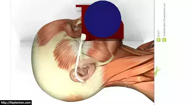 Dual Filter Respirator Mask