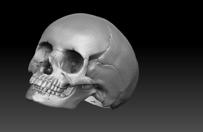 skull ring  3D print model