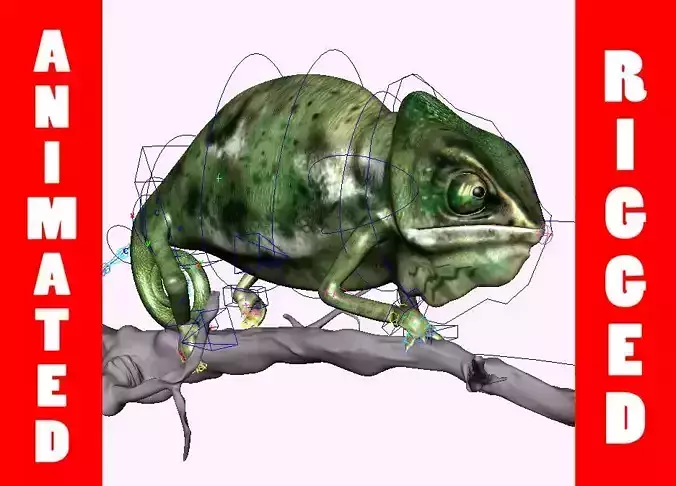 chameleon chamelon Low-poly 3D model