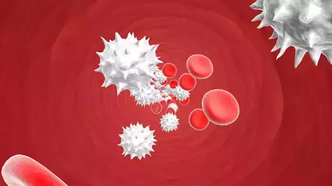 Blood Cells animation medical scientific 3d animated 3D model