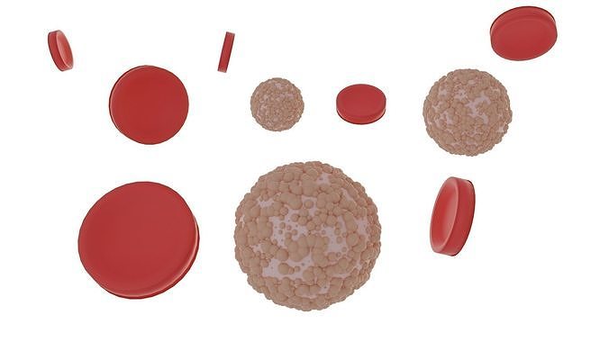 Red Blood Cells and White Blood Cells Low-poly 3D model
