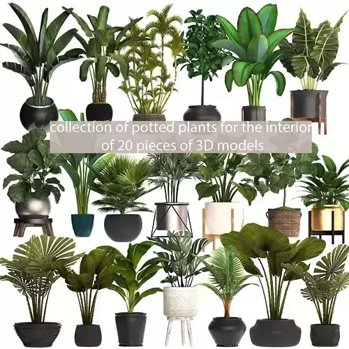 collection of plants for the interior of 20 pieces of 3D models