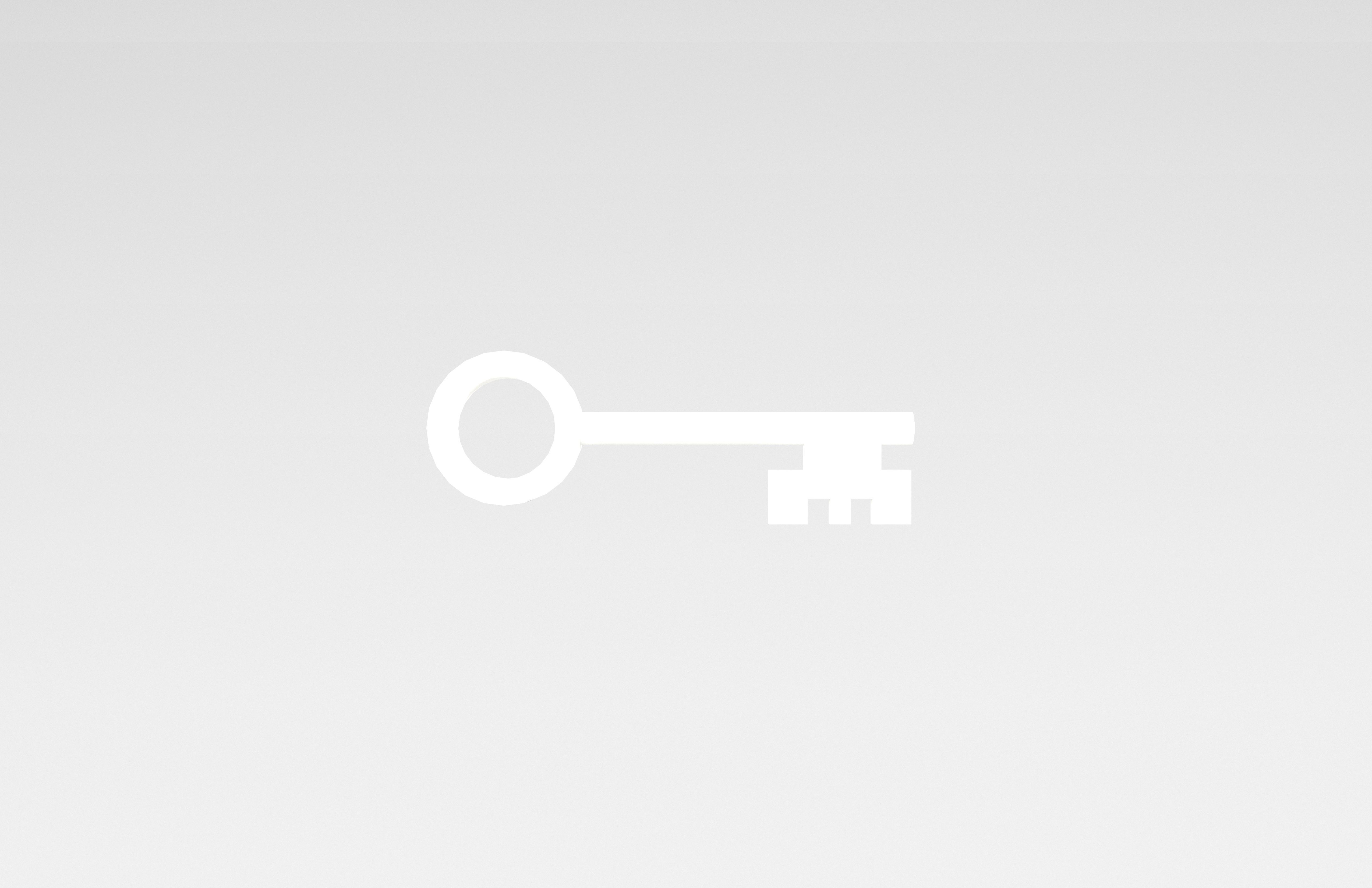 Cartoon Key v1 005 Low-poly 3D model_1