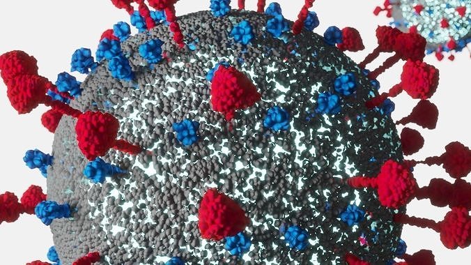 Virus Covid-19 Low-poly 3D model