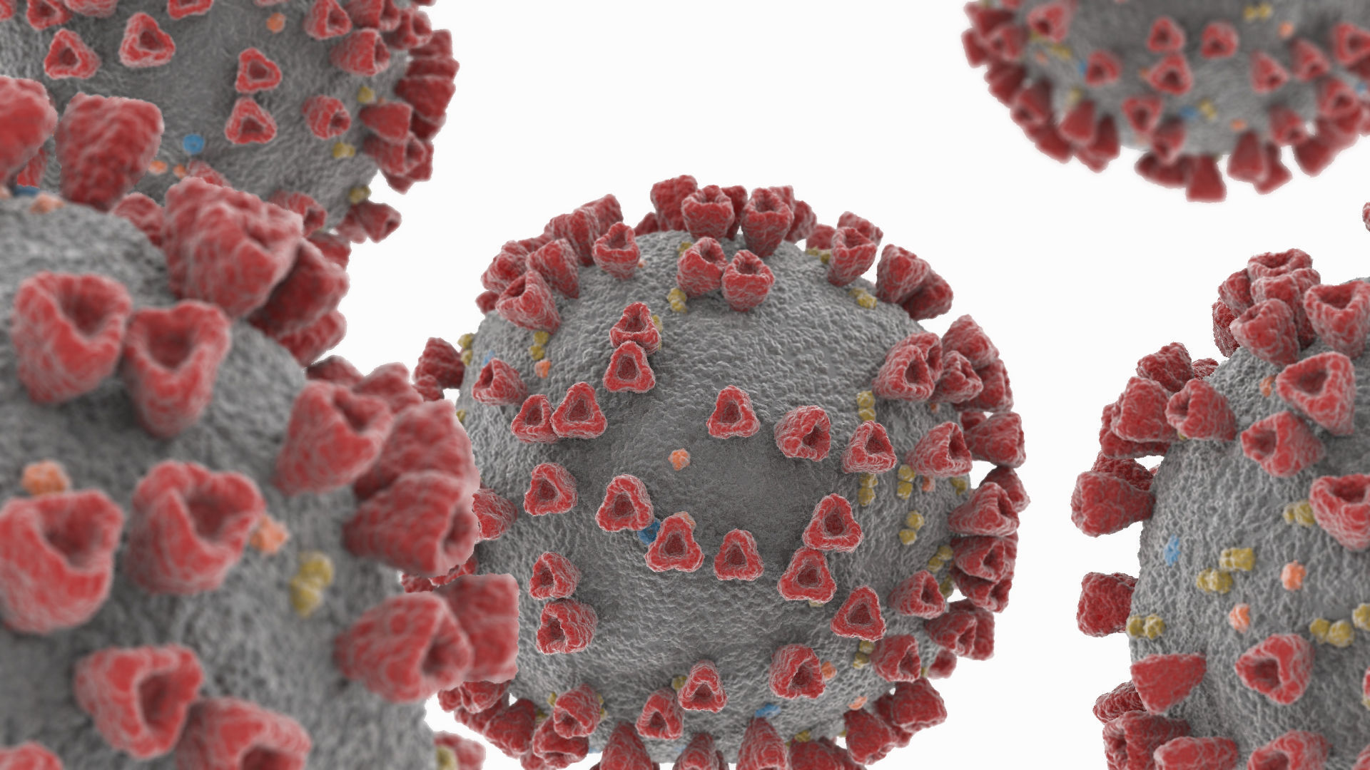 Coronavirus 2019-nCoV SARS-CoV-2 Covid-19 Low-poly 3D model_3