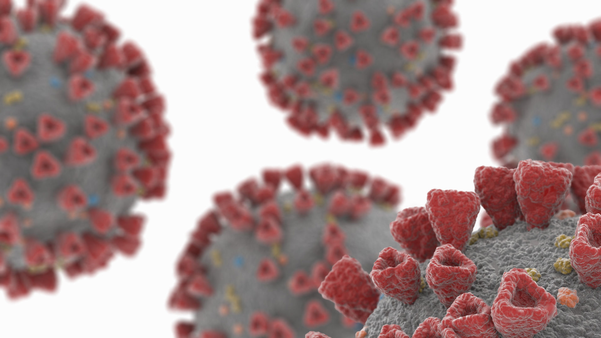 Coronavirus 2019-nCoV SARS-CoV-2 Covid-19 Low-poly 3D model_2