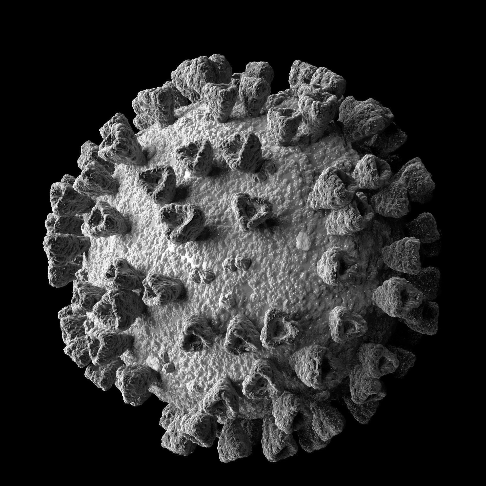 Coronavirus 2019-nCoV SARS-CoV-2 Covid-19 Low-poly 3D model_4