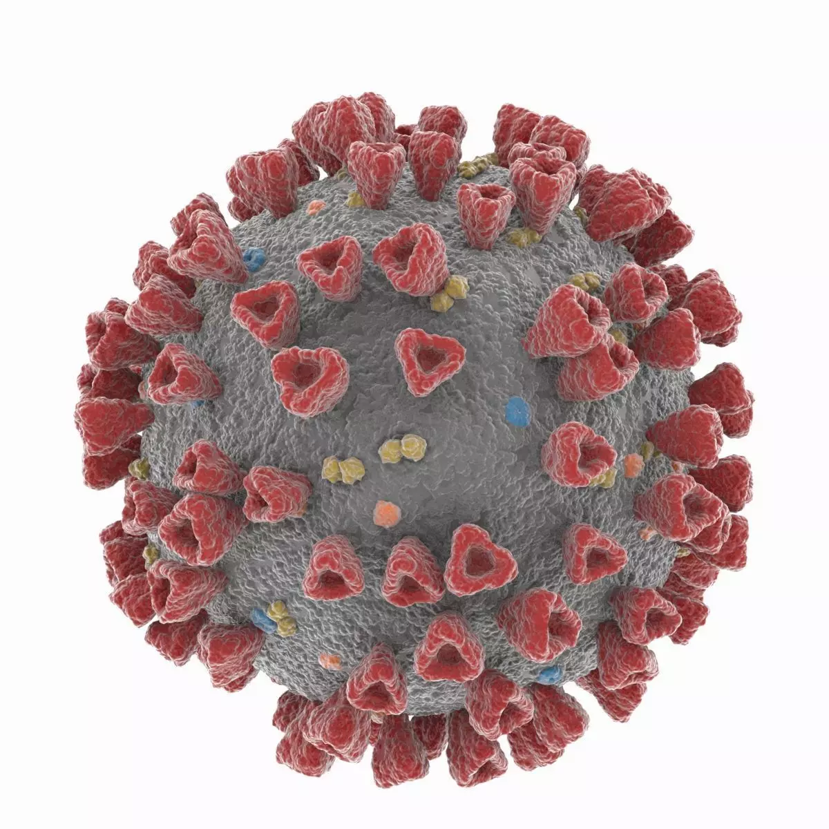 Coronavirus 2019-nCoV SARS-CoV-2 Covid-19 Low-poly 3D model_0