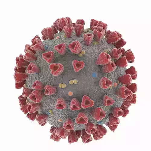 Coronavirus 2019-nCoV SARS-CoV-2 Covid-19 Low-poly 3D model