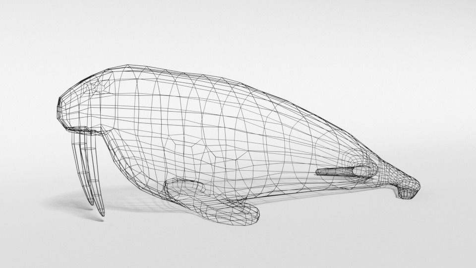 Low Poly Cartoon Walrus Low-poly 3D model_9