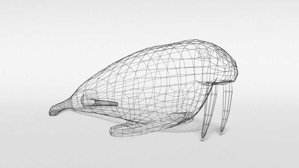 Low Poly Cartoon Walrus Low-poly 3D model_15