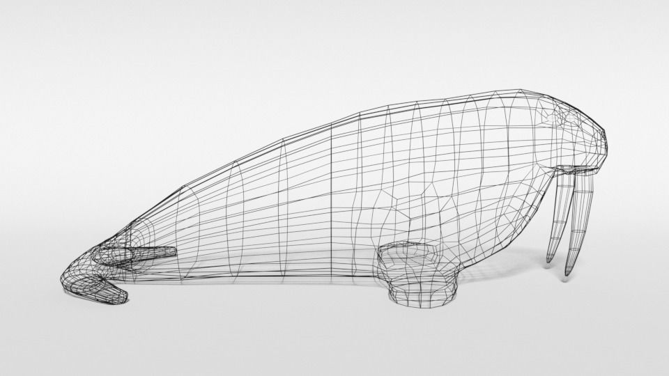 Low Poly Cartoon Walrus Low-poly 3D model_14