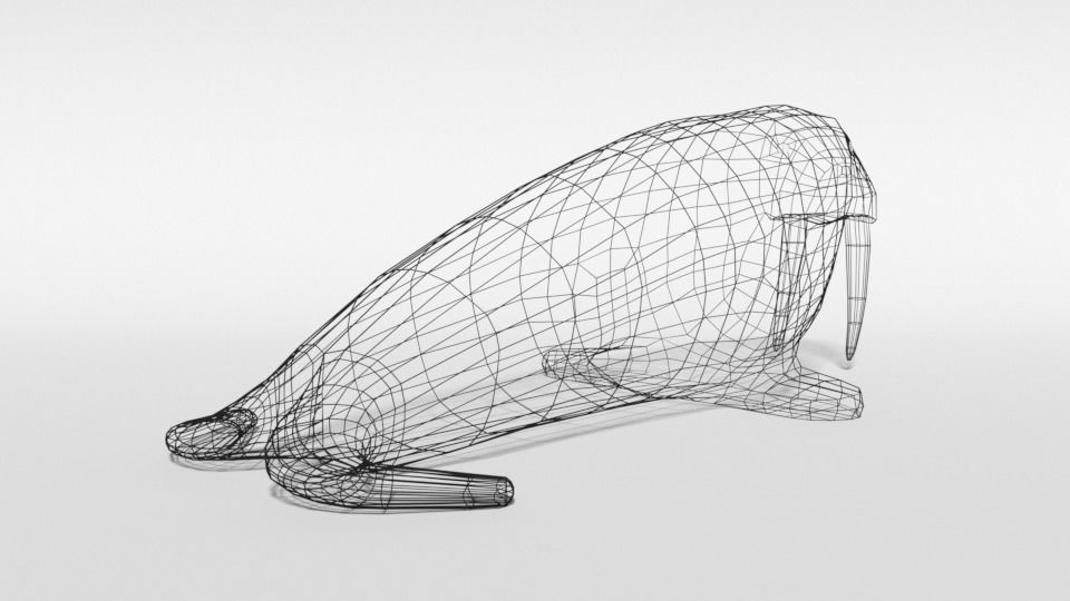 Low Poly Cartoon Walrus Low-poly 3D model_13