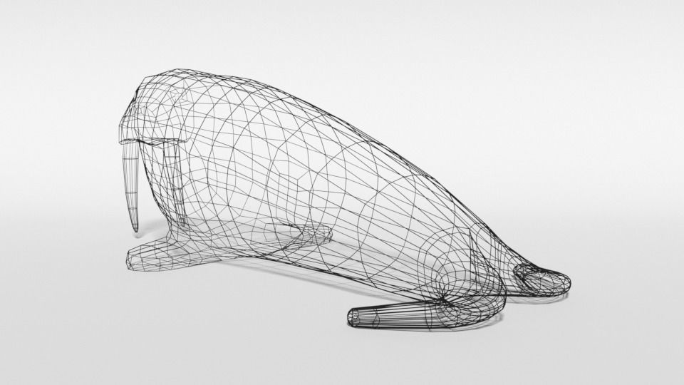 Low Poly Cartoon Walrus Low-poly 3D model_11