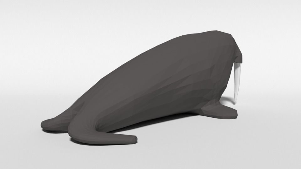 Low Poly Cartoon Walrus Low-poly 3D model_4