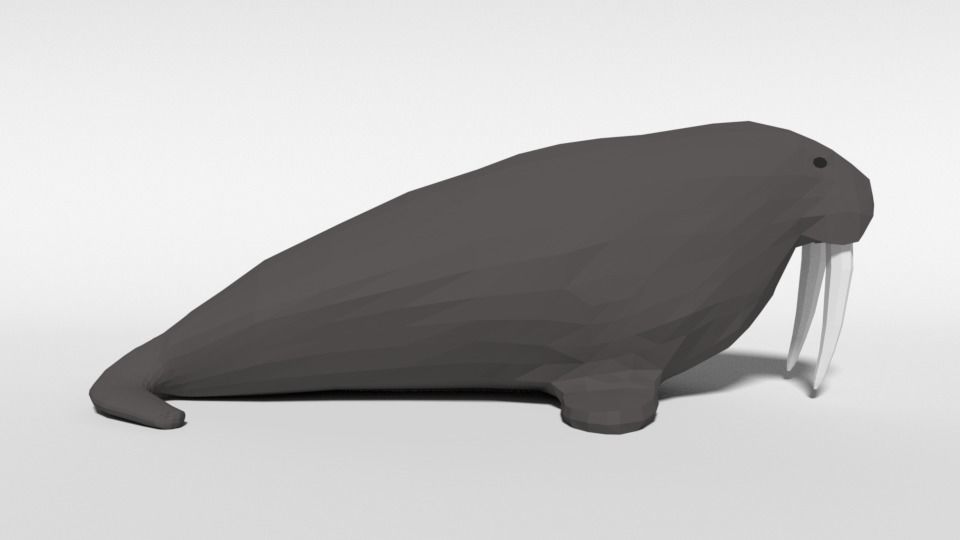 Low Poly Cartoon Walrus Low-poly 3D model_5