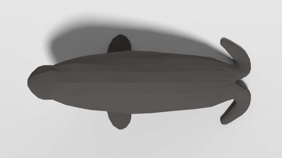 Low Poly Cartoon Walrus Low-poly 3D model_8