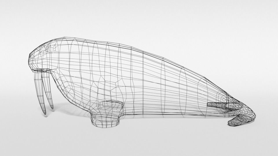 Low Poly Cartoon Walrus Low-poly 3D model_10