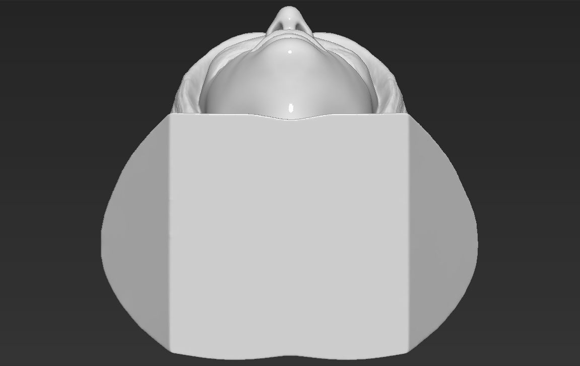 Britney Spears bust 3D printing ready stl obj formats 3D print model_24