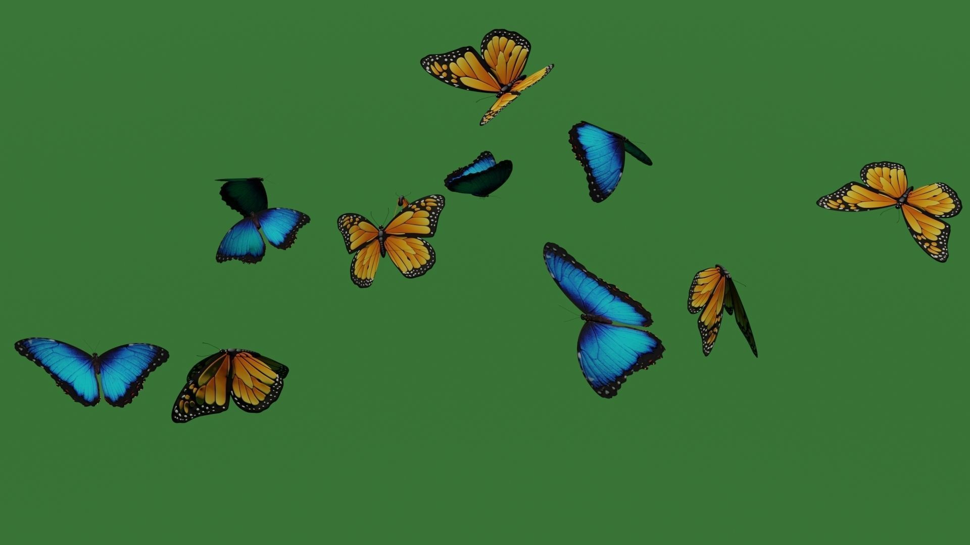 butterflies monarch butterfly Low-poly 3D model_12