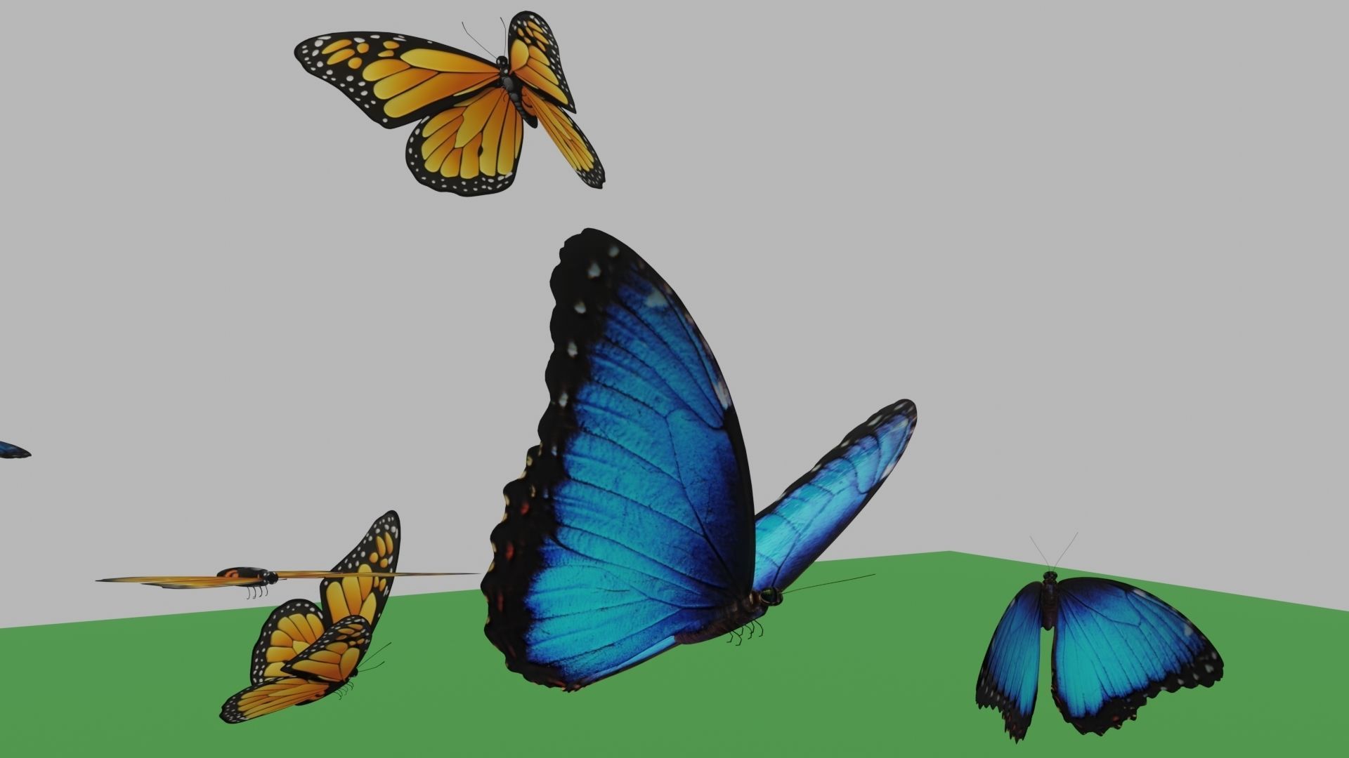 butterflies monarch butterfly Low-poly 3D model_3