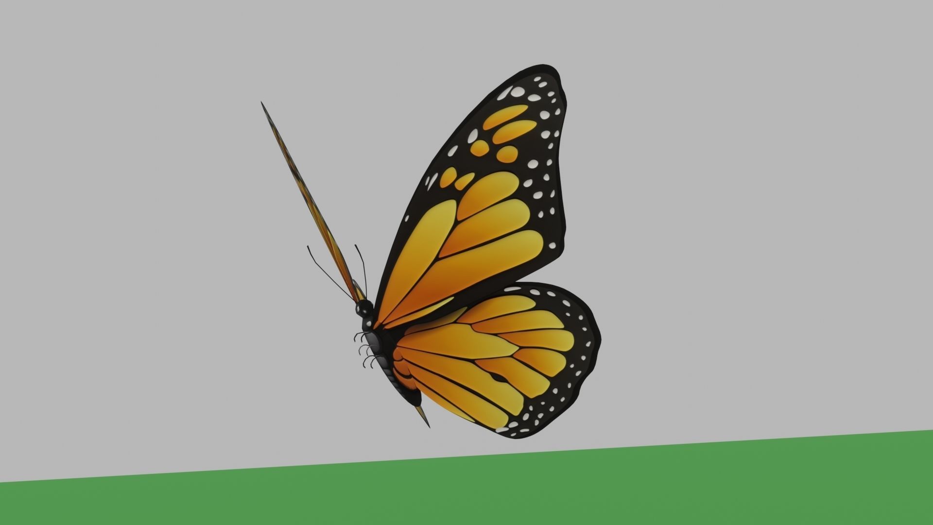 butterflies monarch butterfly Low-poly 3D model_14